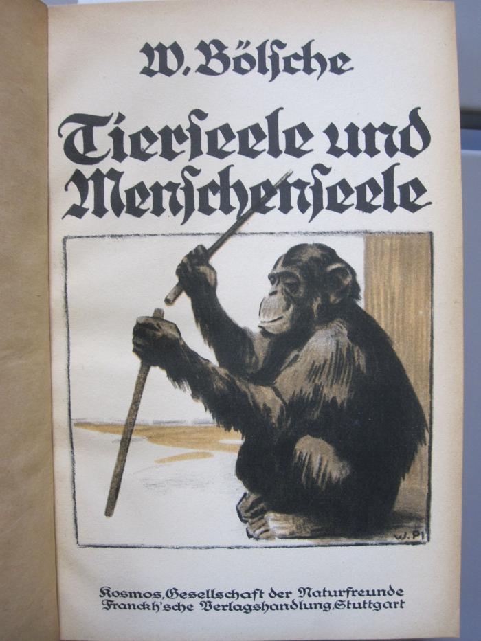 X 4883 a: Tierseele und Menschenseele (1924)