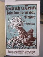 X 597: Schutz- und Trutzbündnisse in der Natur (1917)