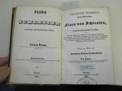 Kf 38 Erg.Bd: Friedrich Wimmer’s neue Beiträge zur Flora von Schlesien, zur Geschichte und Geographie derselben, verbunden mit einer Anleitung zu botanischen Excursionen in Schlesien, zum Sammeln, Bestimmen, Trocknen und Aufbewahren der Pflanzen, einem alphabetischen Nachweis ihrer Standorte, einem Verzeichnisse der wichtigsten Höhenpunkte der Sudeten, wie des Teschnischen Gebirges und einer Profilkarte ; nebst einer Übersicht der fossilen Flora Schlesiens (1845)