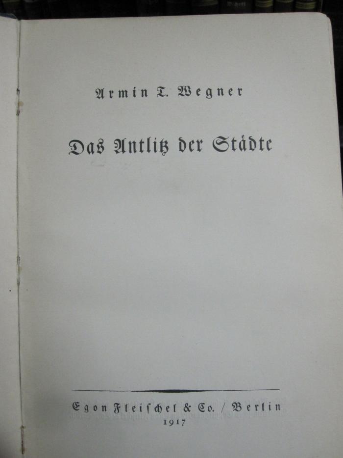 III 64455 2.Ex.: Das Antlitz der Städte (1917)