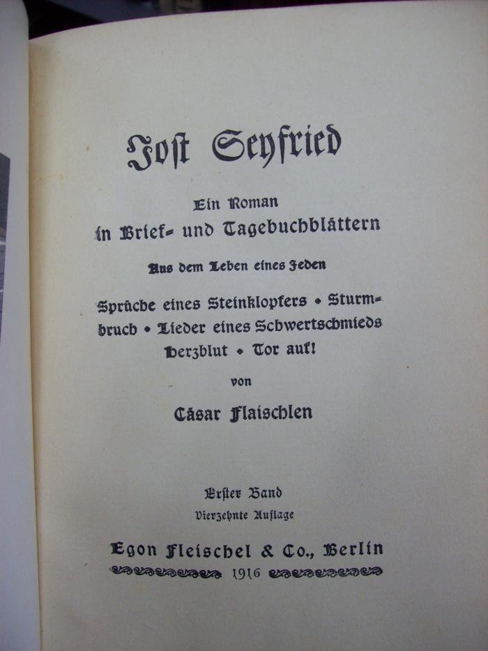 III 28965 1 3.Ex.: Jost Seyfried : ein Roman in Brief- und Tagebuchblättern : aus dem Leben eines Jeden : Sprüche eines Steineklopfers - Sturmbruch - Lieder eines Schwertschmieds - Herzblut - Tor auf! (1916)