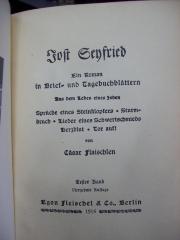 III 28965 1 3.Ex.: Jost Seyfried : ein Roman in Brief- und Tagebuchblättern : aus dem Leben eines Jeden : Sprüche eines Steineklopfers - Sturmbruch - Lieder eines Schwertschmieds - Herzblut - Tor auf! (1916)