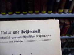 G46 / 1324 (Werner, [?]), Von Hand: Autogramm, Name; 'Werner'. 