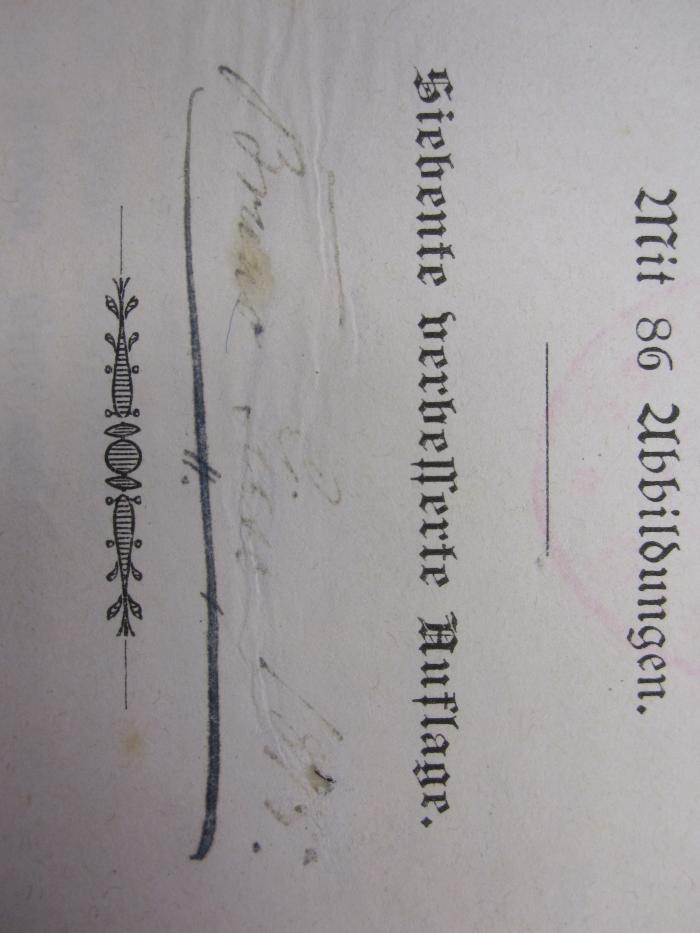 Ub 131 g: Die Biblischen Altertümer (1893);G45 / 2549 (Giese[?], Bruno), Von Hand: Autogramm, Name, Datum; 'Bruno Giese 1895.'. 