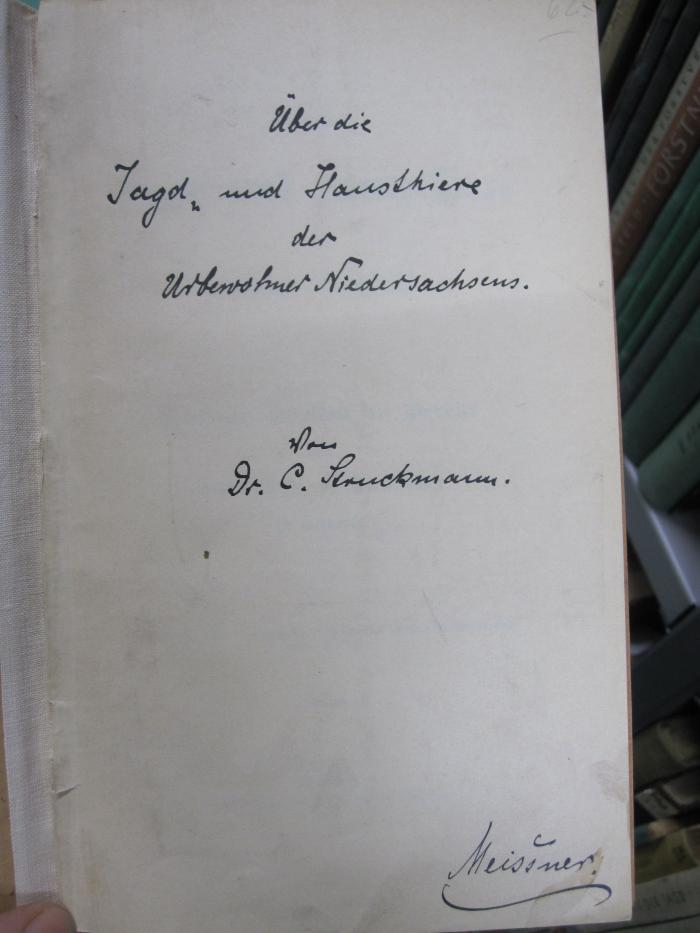 Ng 126: Über die Jagd- und Haustiere der Urbewohner Niedersachsens : Vortrag, gehalten im Verein (um 1895);G46 / 2622 (Meißner, Max), Von Hand: Autogramm, Name; 'Meissner.'. 