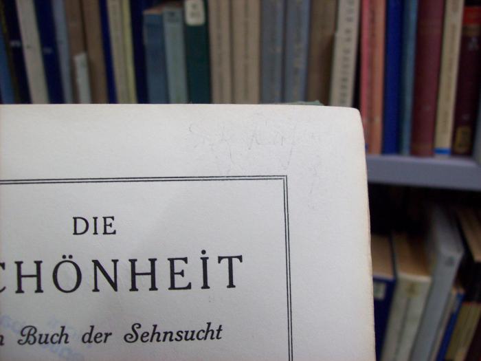 Hg 58: Die Schönheit : ein Buch der Sehnsucht ([1917]);G45 / 2386 (Rühle, Dietrich), Von Hand: Autogramm, Name; 'Diet. Rühle'. 