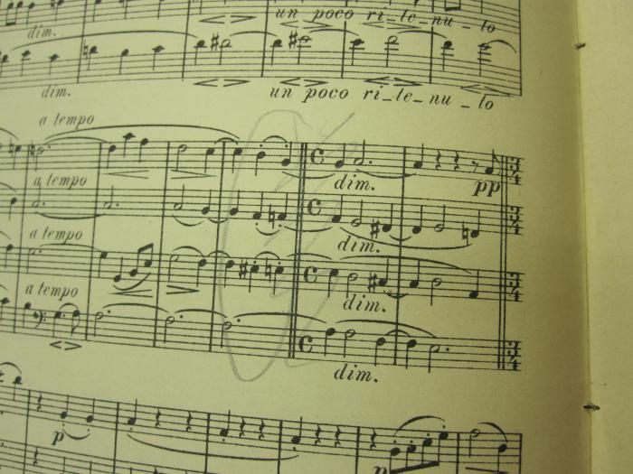 Vi 81 2. Ex.: Quartett für 2 Violinen, Viola und Violoncell : Op. 41. No. 3 (o.J.);J / 1545 (unbekannt), Von Hand: Annotation, Annotation. ;J / 1545 (unbekannt), Von Hand: Annotation; 'Zurückziehen auf die D?
Ungeduldrichtung?
...'. 