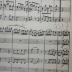 Vm 129: Serenade für 2 Oboen, 2 Klarinetten, 2 Basshörner, 4 Waldhörner, 2 Fagotte, Kontrafagott oder Kontrabass (o.J.)