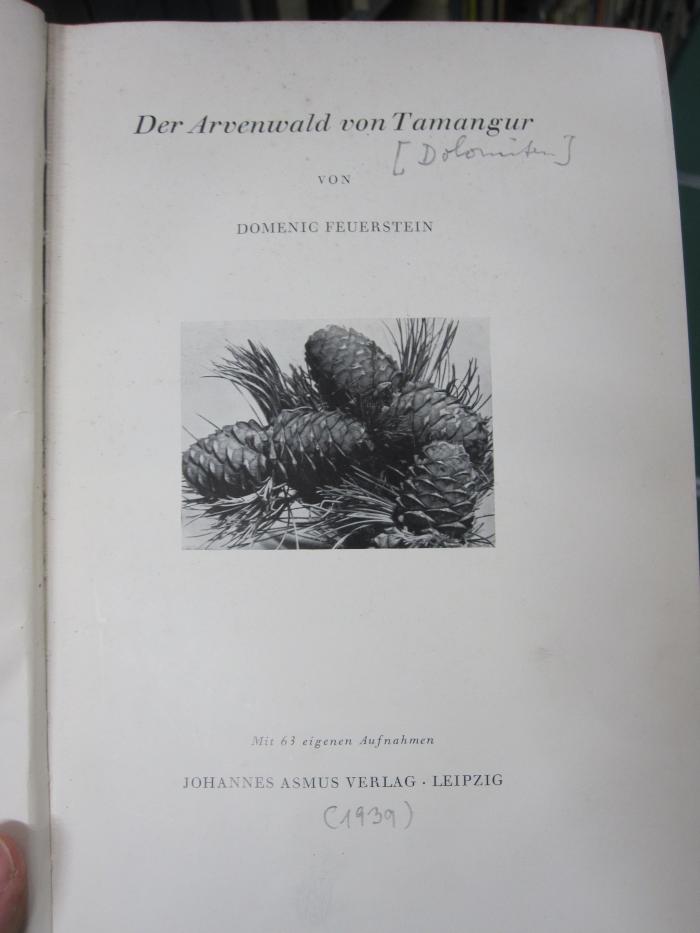 Bi 949: Der Arvenwald von Tamangur ([1939])