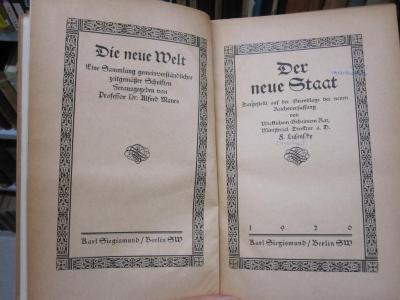 Ei 850: Der neue Staat : dargestellt auf der Grundlage der neuen Reichsverfassung (1920)