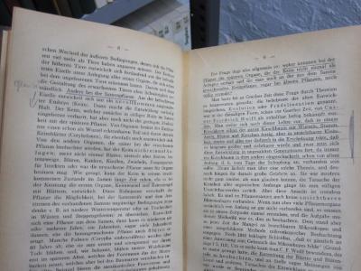 Ka 347: Goethes Morphologie (Metamorphose der Pflanzen und Osteologie) : ein Beitrag zum sachlichen und philosophischen Verständnis und zur Kritik der morphologischen Begriffsbildung (1919);G45 / 1732 (Klatt, Georg), Von Hand: Annotation. 