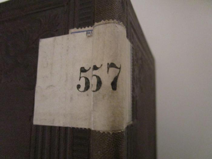  Methodik des Turnunterrichtes (1897);- (Deutsche Communal-Lehrerinnen-Bildungsanstalt Olmütz), Etikett: Signatur; '557'. 
