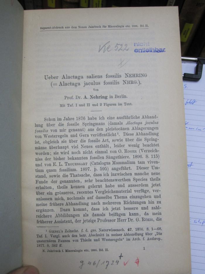Ke 522: [Separat-Abdruck aus dem Neuen Jahrbuch für Mineralogie etc. 1898. Bd. II] Ueber Alactaga saliens fossilis Nehring (= Alactaga jaculus fossilis Nhrg.) (um 1898)