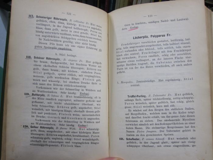 Kf 449 b: Der Pilz-Sammler oder Anleitung zur Kenntnis der wichtigsten Pilze Deutschlands und der angrenzenden Länder (1890);G45 / 367 (unbekannt), Von Hand: Annotation, Annotation. 