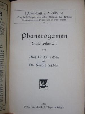 Kf 516: Phanerogamen : Blütenpflanzen (1909)