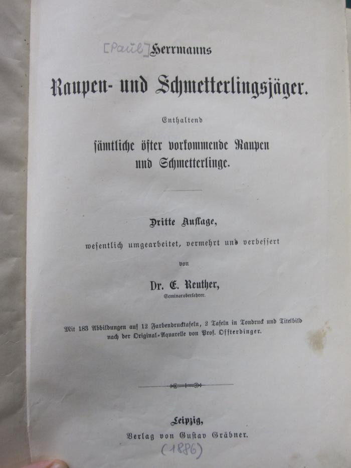 Kg 1257 c: Herrmanns Raupen und Schmetterlingsjäger : enthaltend sämtliche öfter vorkommende Raupen und Schmetterlinge ([1886])
