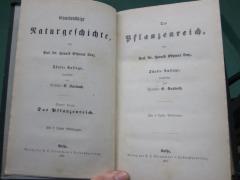 Kg 1173 e 4: Das Pflanzenreich (1881)