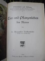 Kg 1387 2. Ex.: Tier- und Pflanzenleben des Meeres (1910)