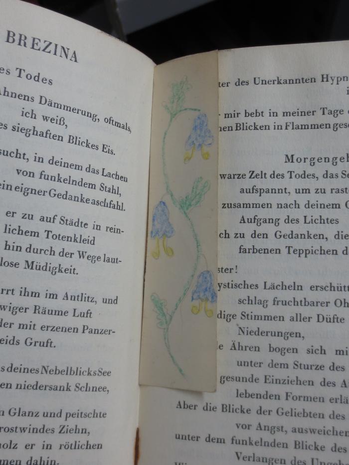 III 99120 2. Ex.: Tschechische Anthologie : Vrchlický ; Sova ; Březina  (1917);G45II / 260 (unbekannt), Papier: Lesezeichen; '[Buntstiftzeichnung: Glockenblumen (blau, gelb, grün), einseitig bemalt]'. 