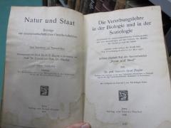 Kg 1497 b: Die Vererbungslehre in der biologie und in der Soziologie : ein Lehrbuch der naturwissenschaftlichen Vererbungslehre und ihrer Anwendungen auf den Gebieten der Medizin, der Genealogie und der Politik : zugleich zweite Auflage der Schrift über die Vererbungslehre in der Biologie (1918)