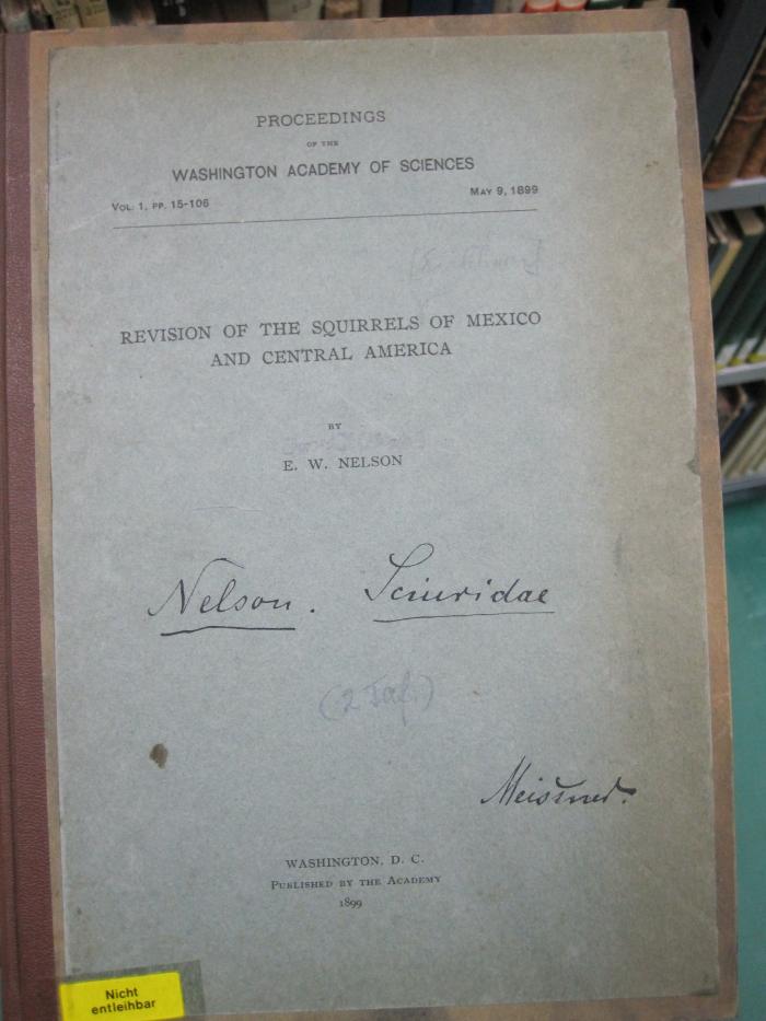 Kg 1648: Revision of the Squirrels of Mexico and Central America (1899);G46 / 2765 (Meißner, Max), Von Hand: Annotation; 'Nelson. Sciuridae'. 