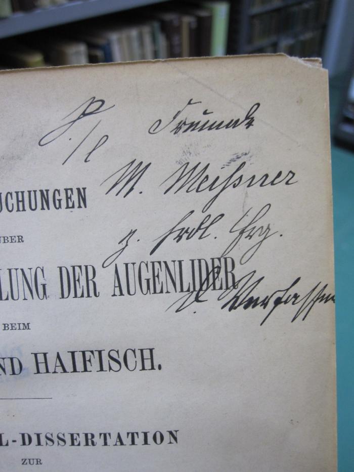 Kg 1548: Untersuchungen über Bau und Entwicklung der Augenlider beim Vogel und Haifisch ([1899]);G46 / 1220 (Meißner, Max;Doenecke, Friedrich Wilhelm), Von Hand: Name, Widmung; 'S./l Freund M. Meißner z. Frdl. Erg. d. Verfasser'. 