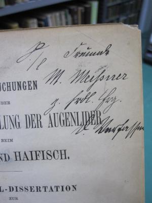 Kg 1548: Untersuchungen über Bau und Entwicklung der Augenlider beim Vogel und Haifisch ([1899]);G46 / 1220 (Meißner, Max;Doenecke, Friedrich Wilhelm), Von Hand: Name, Widmung; 'S./l Freund M. Meißner z. Frdl. Erg. d. Verfasser'. 