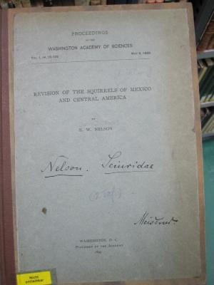 Kg 1648: Revision of the Squirrels of Mexico and Central America (1899);G46 / 2765 (Meißner, Max), Von Hand: Annotation; 'Nelson. Sciuridae'. 