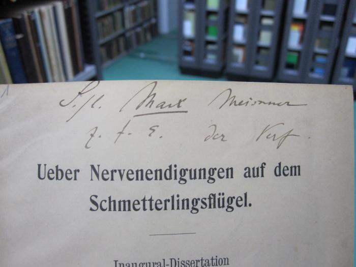 Kg 1584: Ueber Nervenendigungen auf dem Schmetterlingsflügel (1901);G46 / 1636 (Meißner, Max;Guenther, Konrad), Von Hand: Name, Widmung; 'S./l. Max Meissner z. f. E. der Verf.'. 