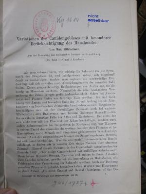 Kg 1614: Variationen des Canidengebisses mit besonderer Berücksichtigung des Haushundes : Separat-Abdruck ([1905])