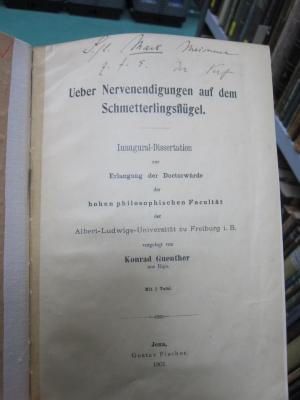 Kg 1584: Ueber Nervenendigungen auf dem Schmetterlingsflügel (1901)