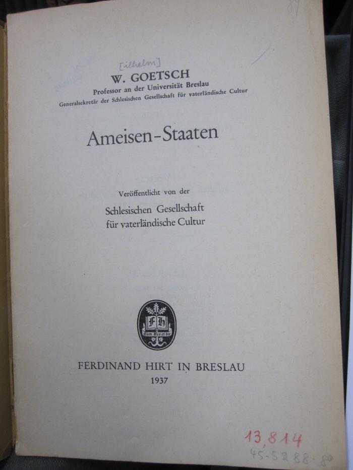 Kg 1656: Ameisen-Staaten (1937)