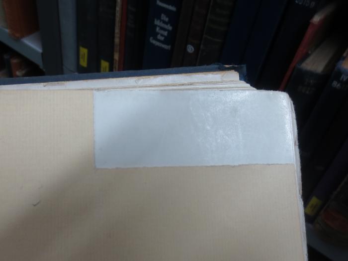 IV 8713 1, 3. Ex. u. 2, 2. Ex.: Die europäische Kunst im Neunzehnten Jahrhundert (o.a.);G45II / 1296 (unbekannt), Überklebt: -. 