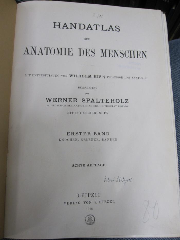 Ki 78 h: Knochen, Gelenke, Bänder (1918)