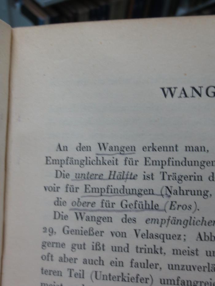 Ht 66 2. Ex.: Symbolik der Gesichtsformen : physiognomische und mimische Beobchtungen ;G46II / 403 (unbekannt), Von Hand: Annotation. 