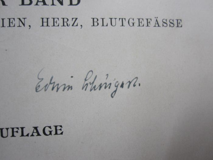Ki 78 h 2: Regionen, Muskeln, Fascien, Herz, Blutgefässe (1918);G46 / 2482 (Schöngart, Erwin), Von Hand: Autogramm, Name; 'Erwin Schöngart'. 