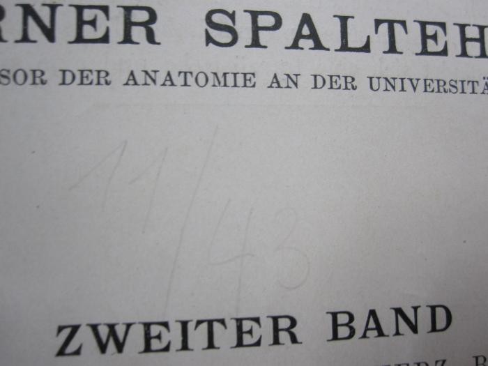Ki 78 h 2: Regionen, Muskeln, Fascien, Herz, Blutgefässe (1918);G46 / 2482 (unbekannt), Von Hand: Nummer; '11/43'. 