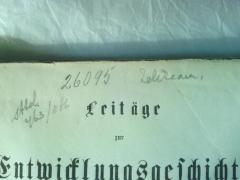 - (Zelik[..]a[..], [?]), Von Hand: Signatur, Name; 'stbel.
463/ [..]b6
26095

Zelik[..]a[..].
'. 
