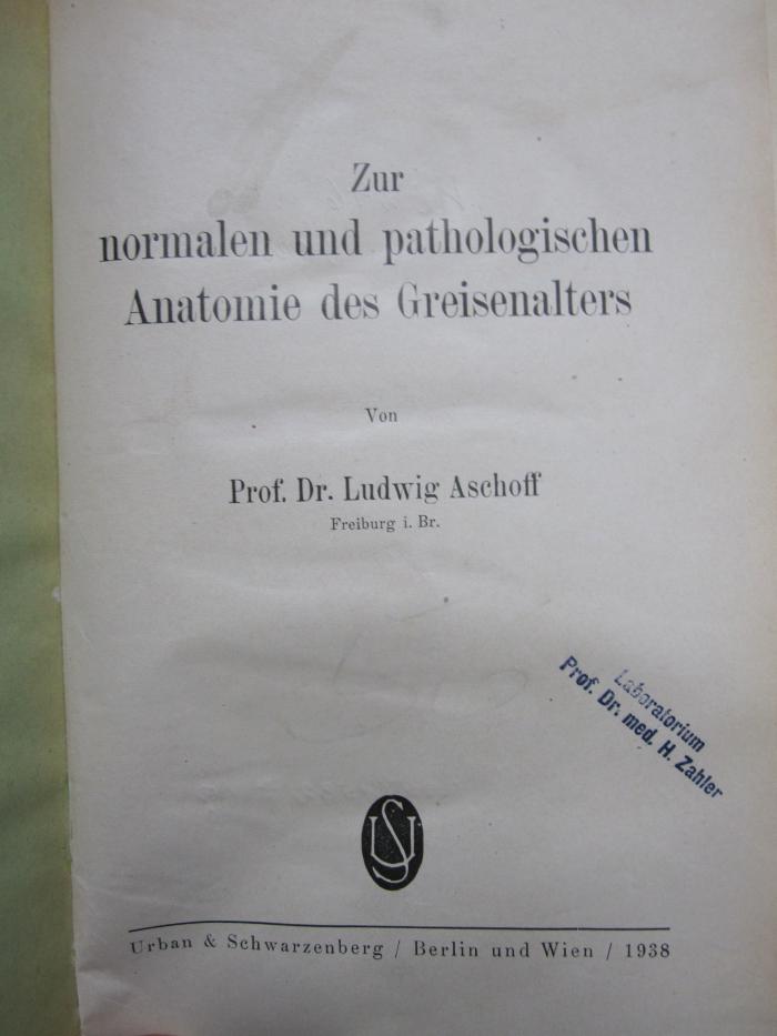 Ki 246 Ers.: Zur normalen und pathologischen Anatomie des Greisenalters (1938)