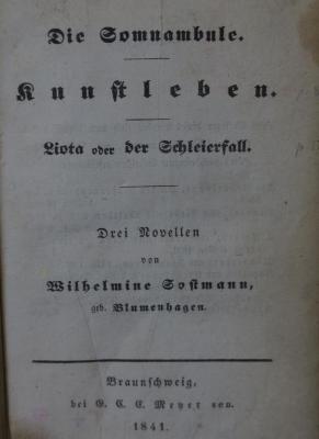 Cm 6114: Die Somnambule : Kunstleben : Liota oder der Schleierfall : Drei Novellen  (1841)