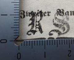 - (S., R.), Stempel: Monogramm; 'R S'.  (Prototyp)