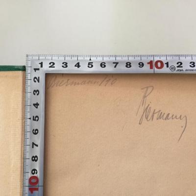 - (Biermann, [?]), Von Hand: Autogramm; 'Biermann/10
Biermann'. ;1 D 11-2 : Strukturwandlungen der deutschen Volkswirtschaft (1928)
