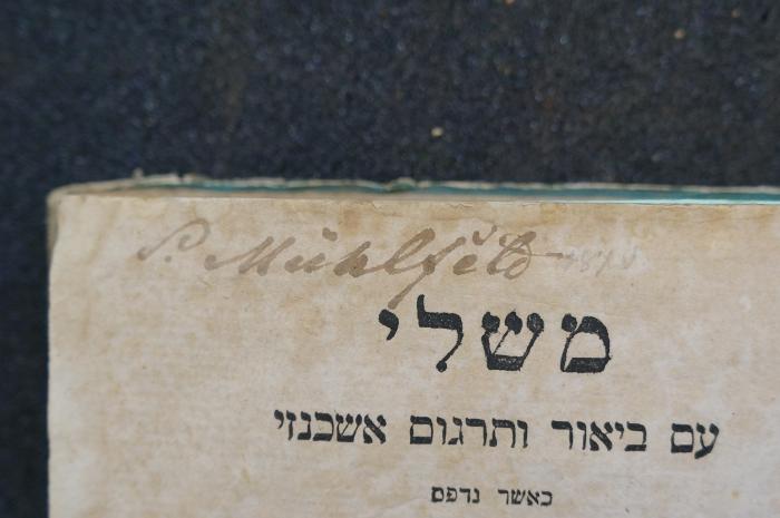 Asch1836 : משלי : עם ביאור ותרגום אשכנזי

 (1805);- (Mühlfeld, P.), Von Hand: Autogramm; 'P. Mühlfeld'. 