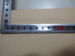 - (Sollmann, Elfriede M.), Von Hand: Autogramm; 'Elfriede M. Sollmann'. 