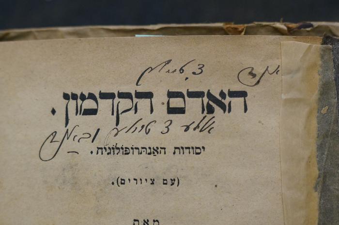 Asch1875 : האדם הקדמון

 (1900);-, Von Hand: -; '׳1 באנד 3 טיילה
אללע 3 טיילע ובאנדה
'