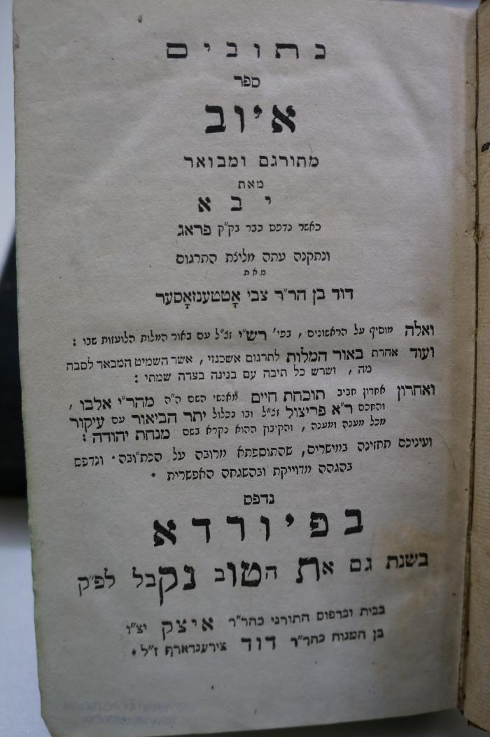 Asch1883 : כתובים ספר איוב : מתורגם ומבואר

 (1909)