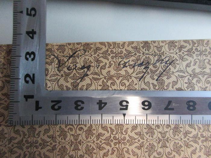 -, Stempel: Autogramm; 'Kay[?] [?]zky[?]';
10 F 377 : Staat und Kirche im Fränkischen Reiche bis auf Karl den Grossen (1869)