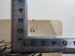 - (Plattdütsch-Vereen), Von Hand: Zeichen, Initiale; 'Q'. 