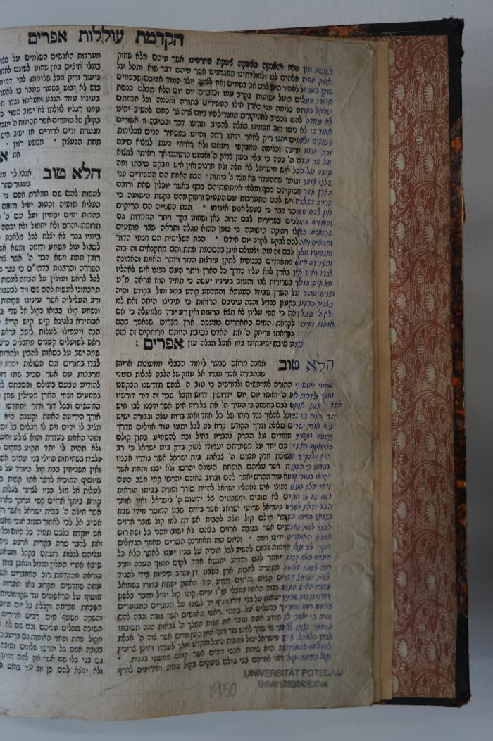 Asch1950 : עוללות אפרים

 (o.A.);- (unbekannt), Von Hand: Notiz; '[...]'. 