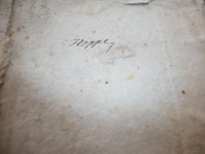  Clavis Lingvæ Sanctæ aditum asperiens. (1717);-, Von Hand: Name; 'Hoppes'